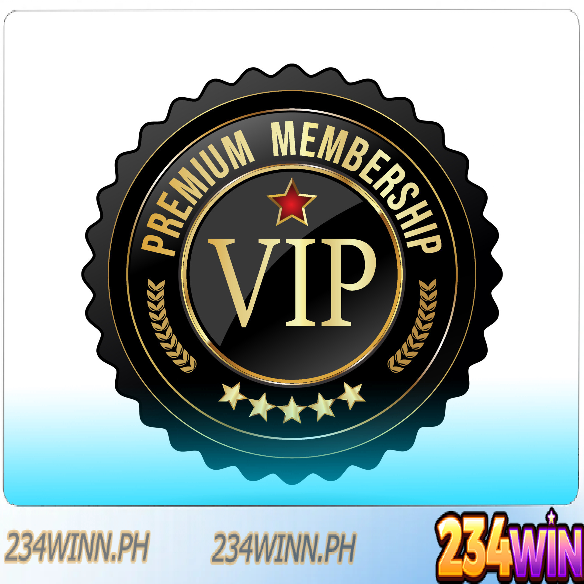 vip
