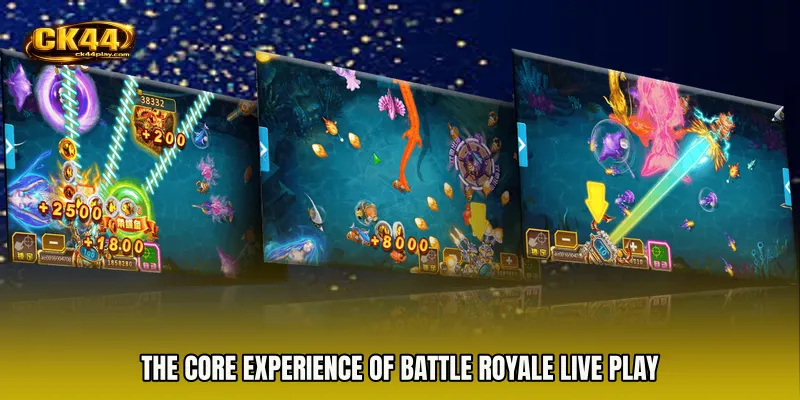 The Core Experience of Battle Royale live play